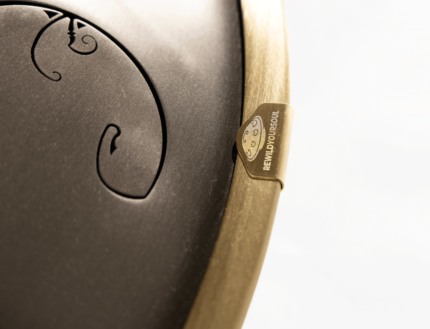 Rav Vast gold drum, tongue drum, drum tongues, steel tongue drum handpan