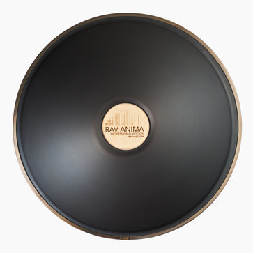RAV ANIMA 432 Hz Chord based Steel Tongue Drum – RAVVAST