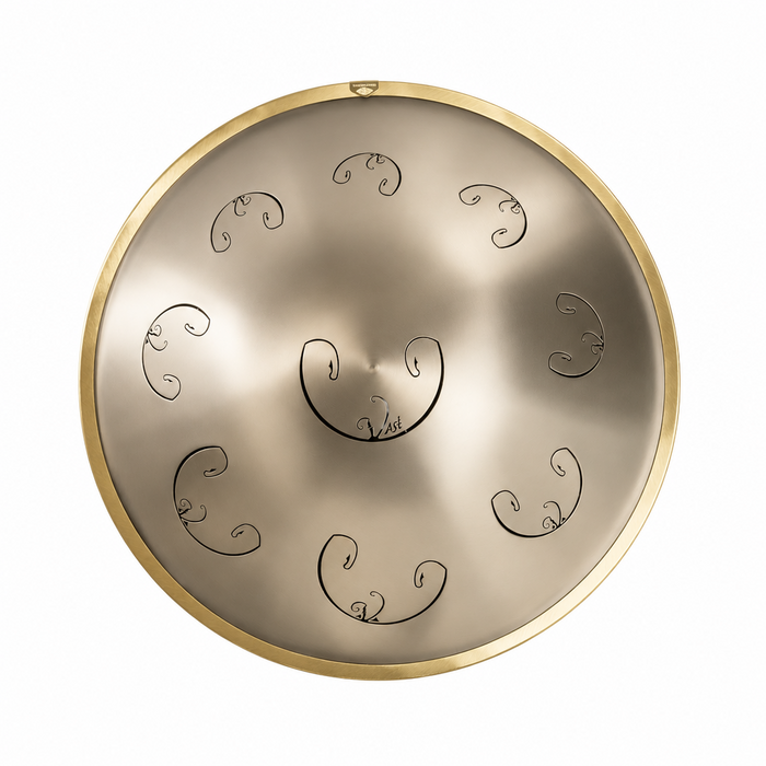 Rav Vast drum gold, tongue drum, drum tongues, steel tongue drum handpan