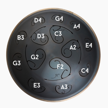 　ラブドラムRavdrum RAV ANIMA Chord based Steel Tongue Drum – RAVVAST