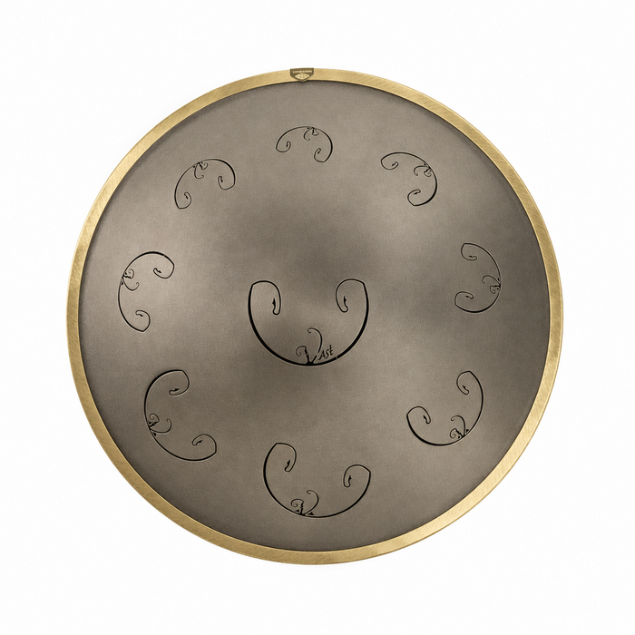 Rav Vast drum, tongue drum, drum tongues, steel tongue drum handpan
